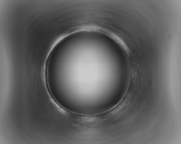 X0000114441103200910161350