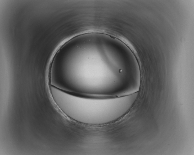 X0000114441104200910161350