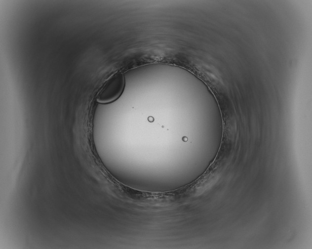 X0000114441105200910161349