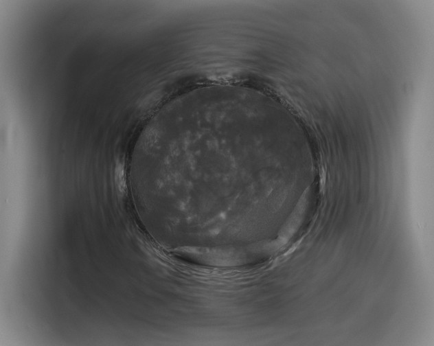 X0000114441106200910161349