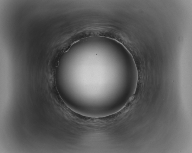X0000114441109200910161349