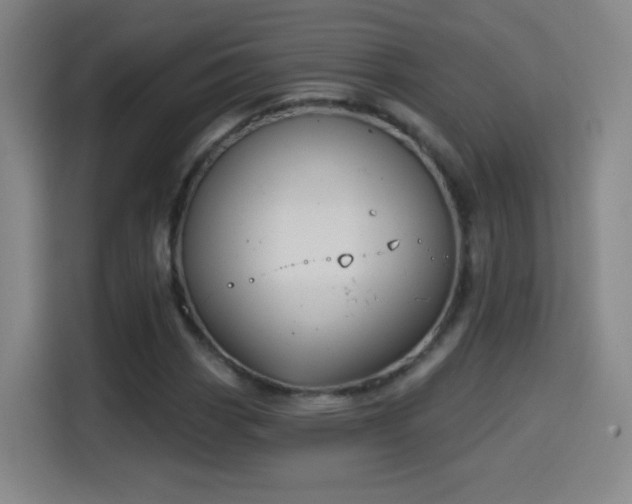 X0000114441113200910161349
