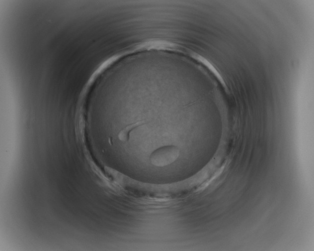 X0000114441115200910161349