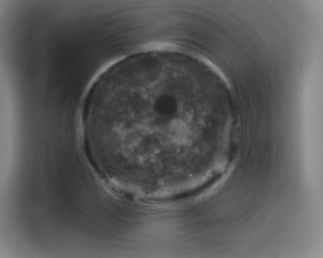 X0000114441117200910161350