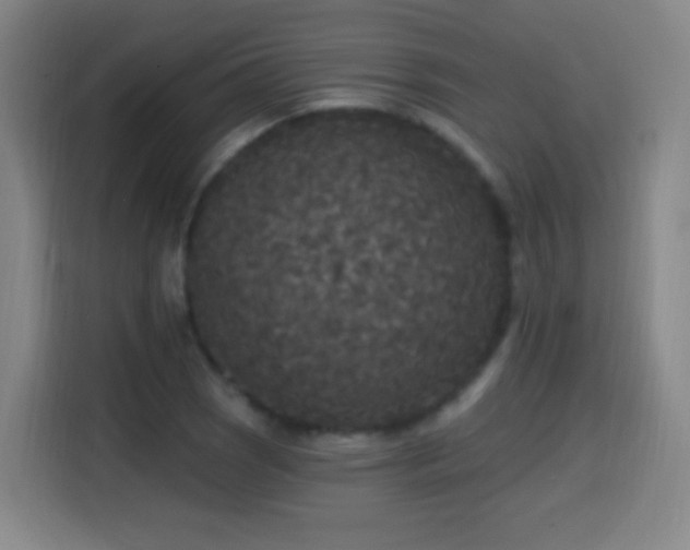 X0000114441121200910161350