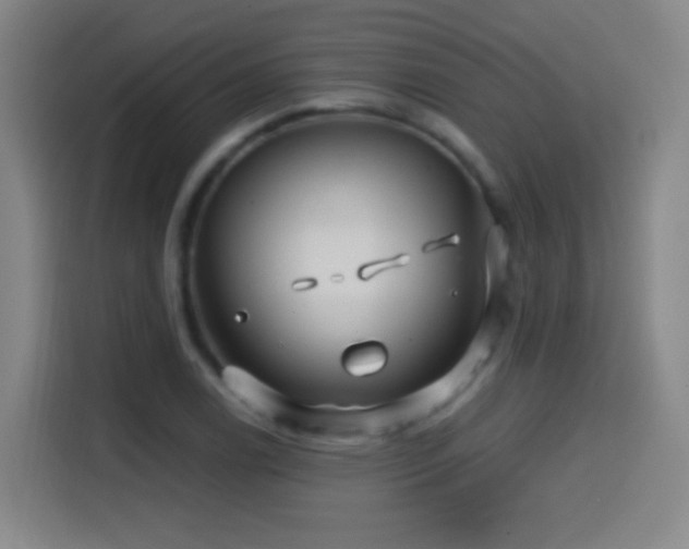 X0000114441122200910161350