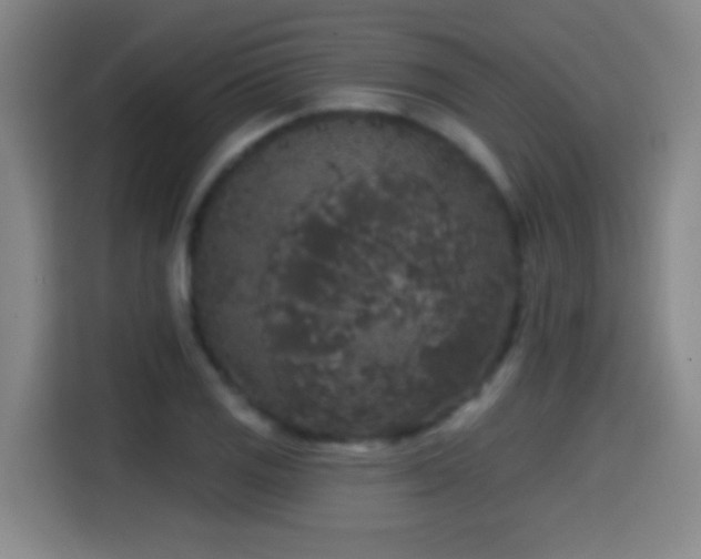 X0000114441125200910161350