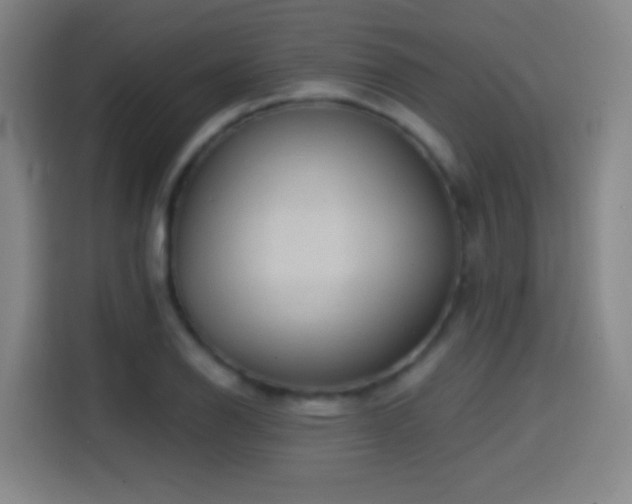 X0000114441126200910161350