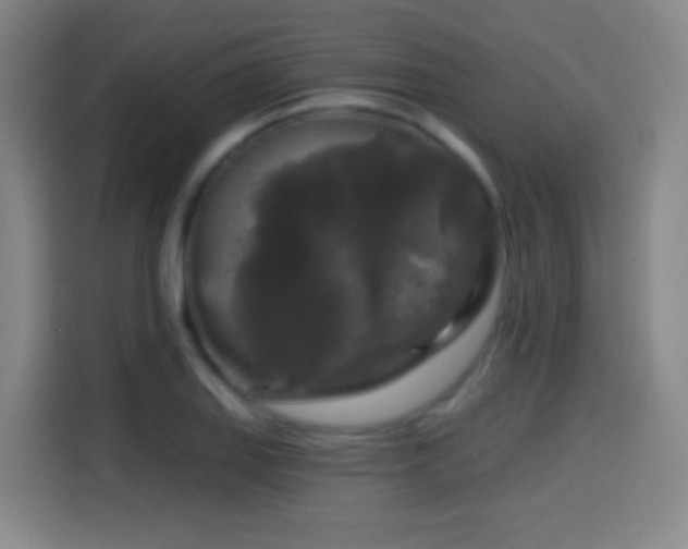 X0000114441127200910161350