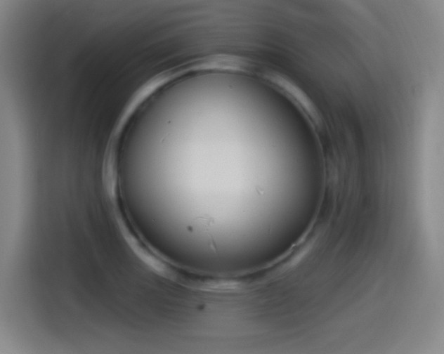 X0000114441131200910161350