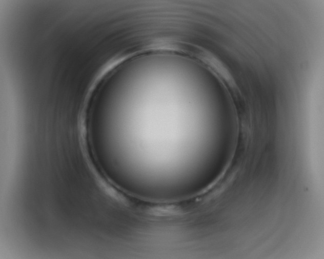 X0000114441133200910161350