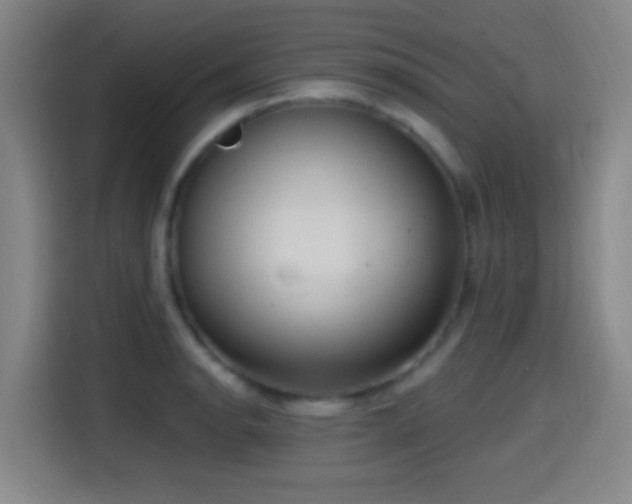 X0000114441134200910161350