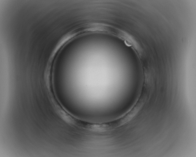 X0000114441138200910161350