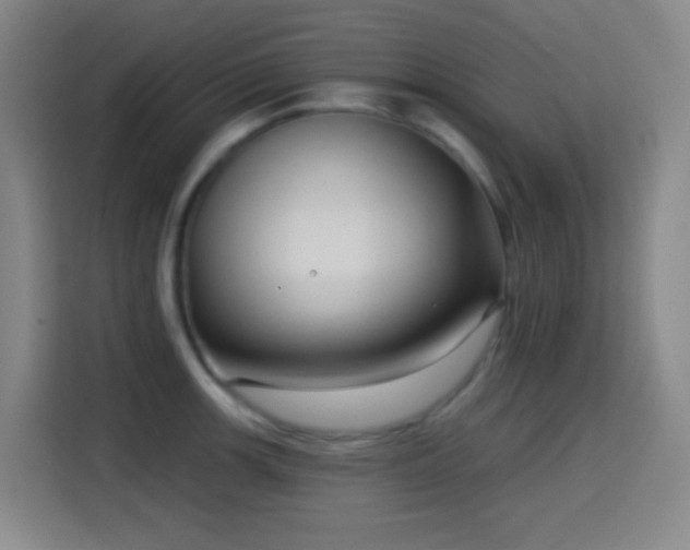X0000114441139200910161350