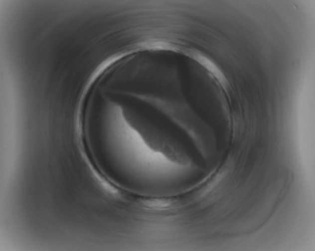 X0000114441141200910161350