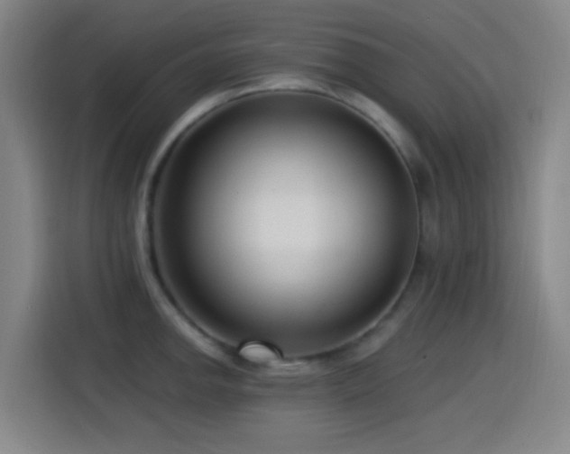 X0000114441142200910161350