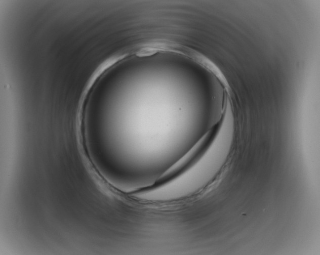 X0000114441146200910161350