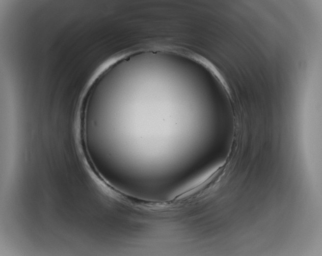 X0000114441147200910161350