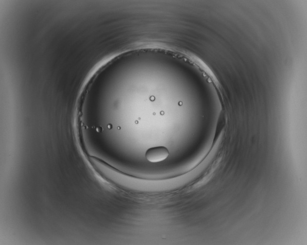 X0000114441149200910161350