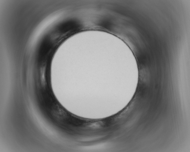 X0000114441150200910161350