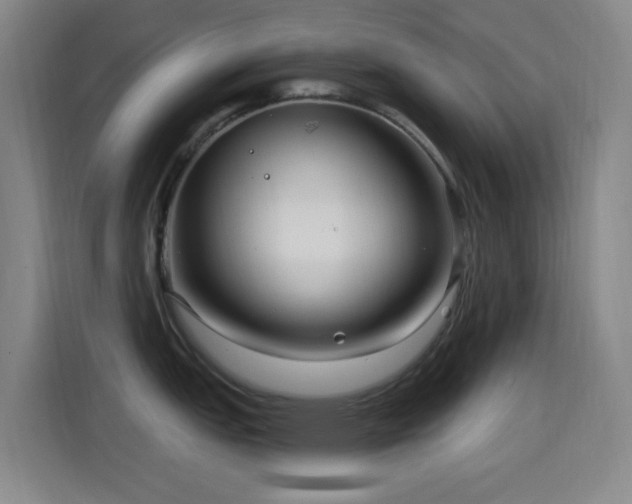 X0000114441151200910161350