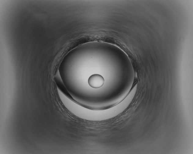 X0000114441153200910161349