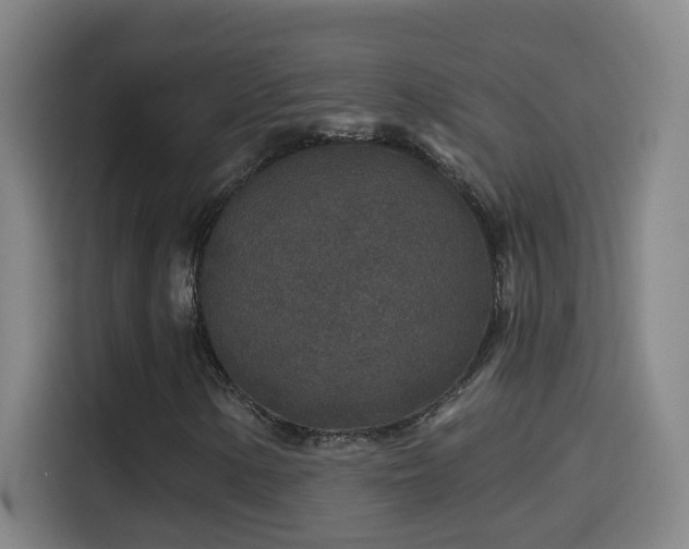 X0000114441154200910161349