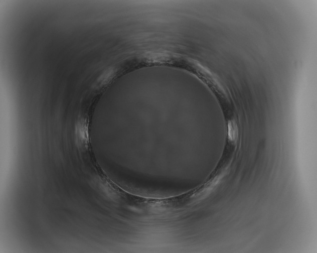 X0000114441155200910161349