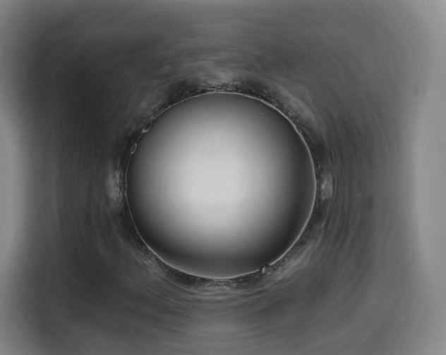 X0000114441156200910161349