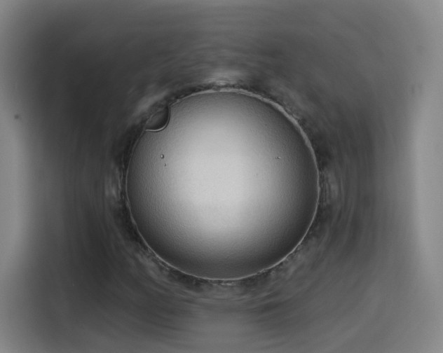X0000114441158200910161349