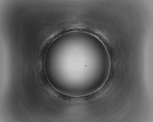 X0000114441159200910161349