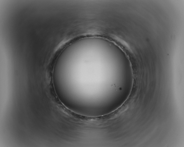 X0000114441160200910161349