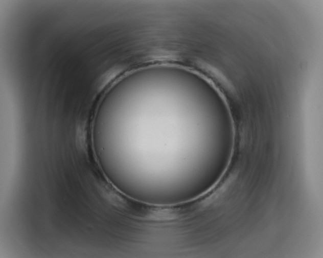 X0000114441162200910161349