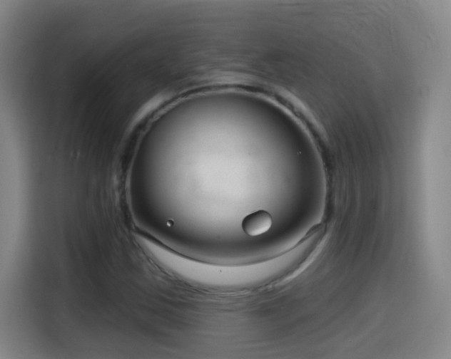 X0000114441163200910161349
