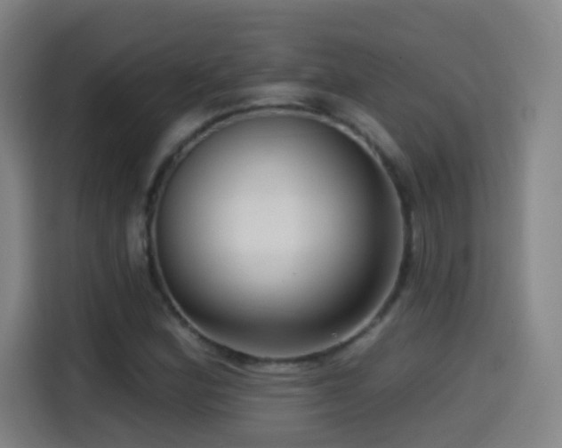 X0000114441164200910161349