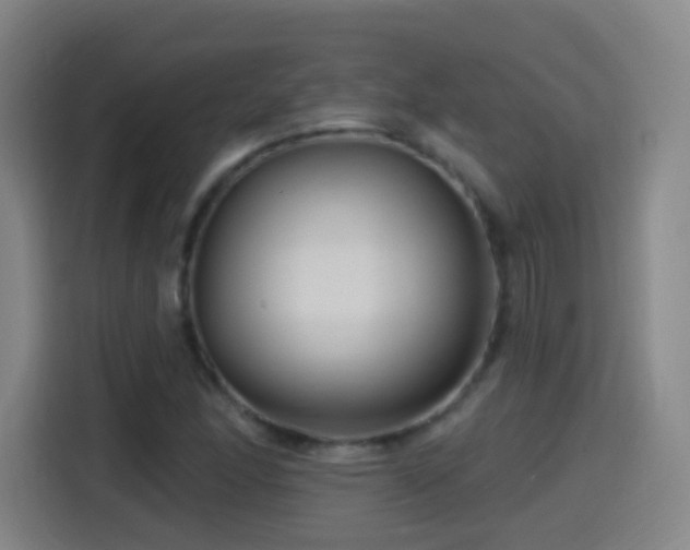 X0000114441166200910161349