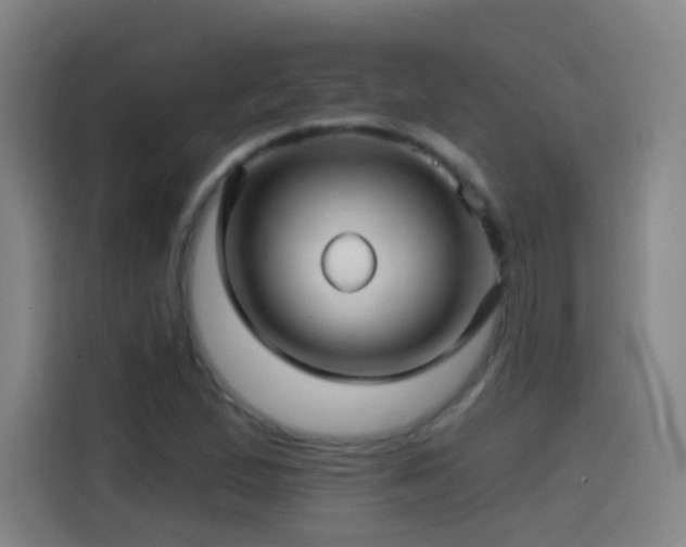 X0000114441167200910161349