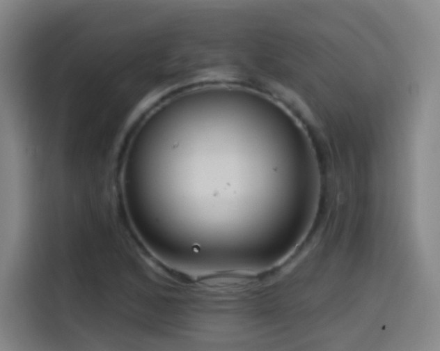 X0000114441168200910161349