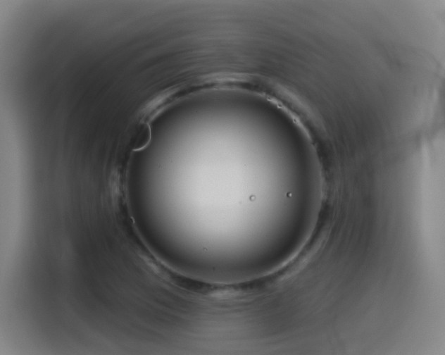 X0000114441169200910161349