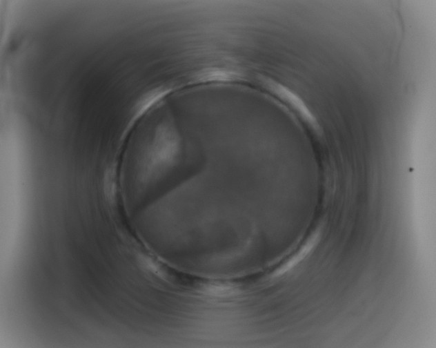 X0000114441170200910161349