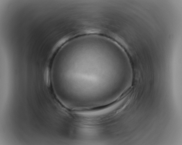 X0000114441171200910161349