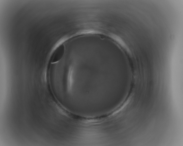 X0000114441173200910161349