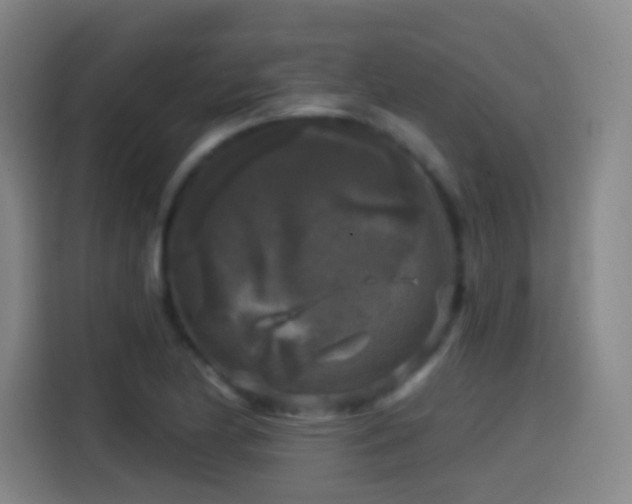 X0000114441174200910161349