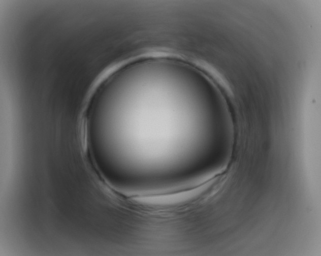X0000114441175200910161349