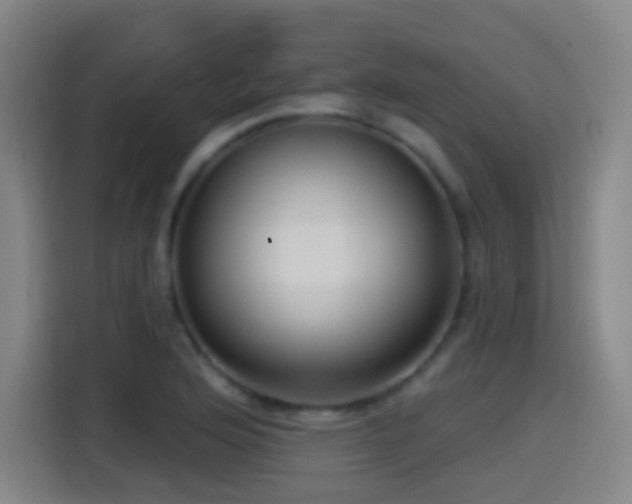 X0000114441176200910161349