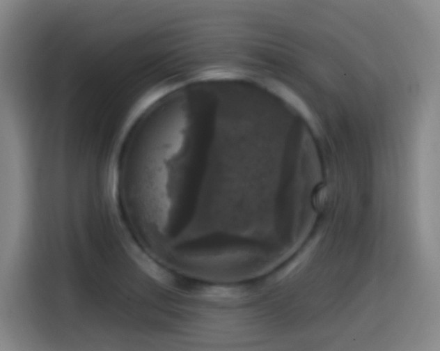 X0000114441179200910161349