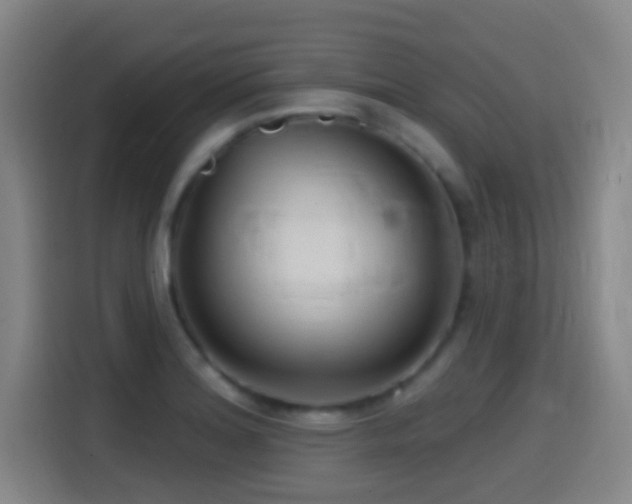 X0000114441180200910161349