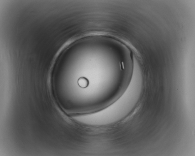X0000114441181200910161349