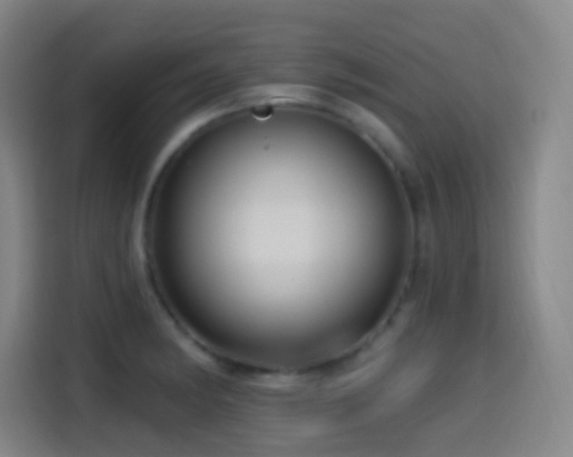 X0000114441182200910161349