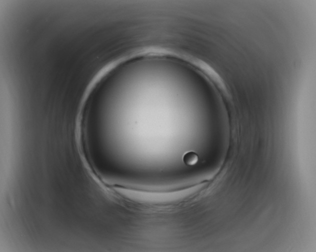 X0000114441183200910161349